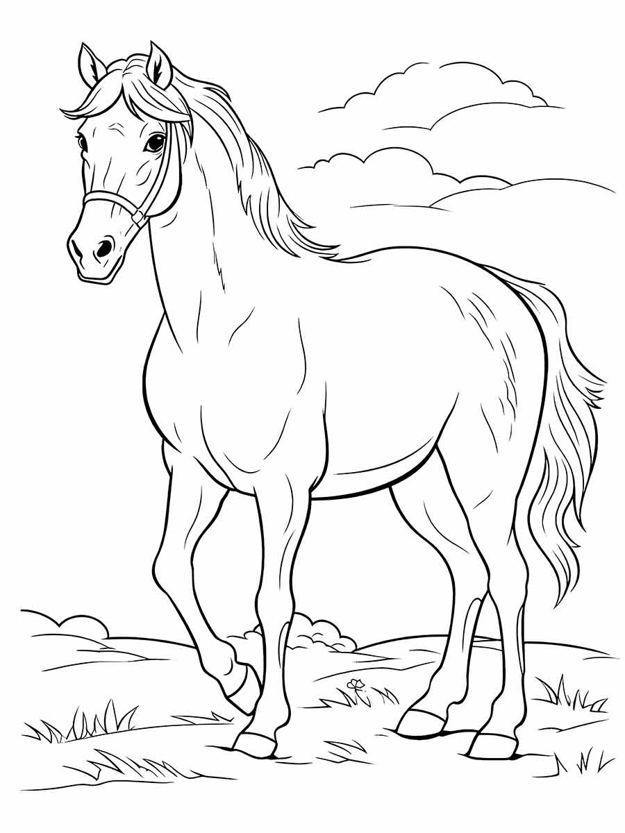 Beautiful Horse Coloring Page 3