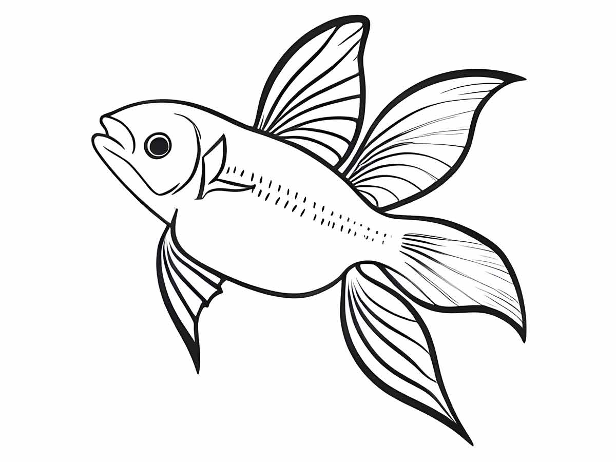 Betta fish to color