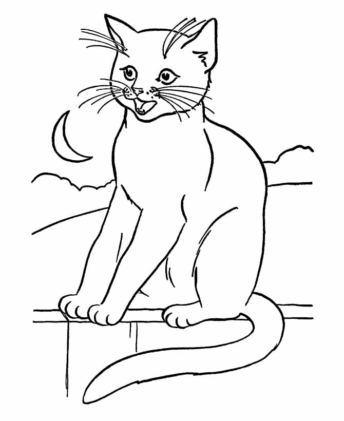 Coloring page of a cat on top of a wall.