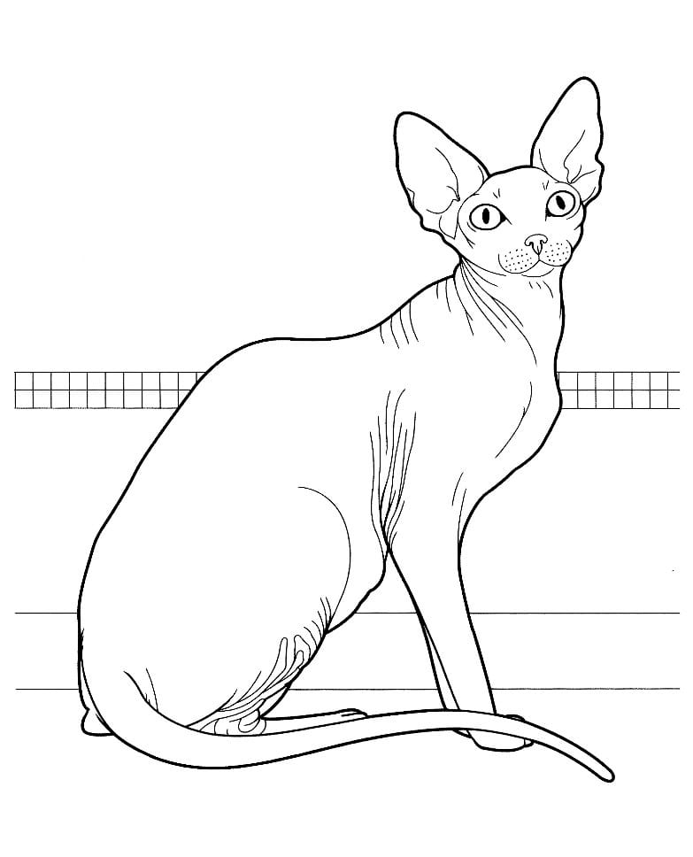 Simple coloring page of a cat sitting and looking up.