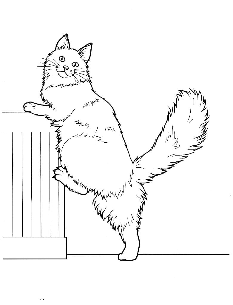 Fun coloring page of a playful cat jumping.