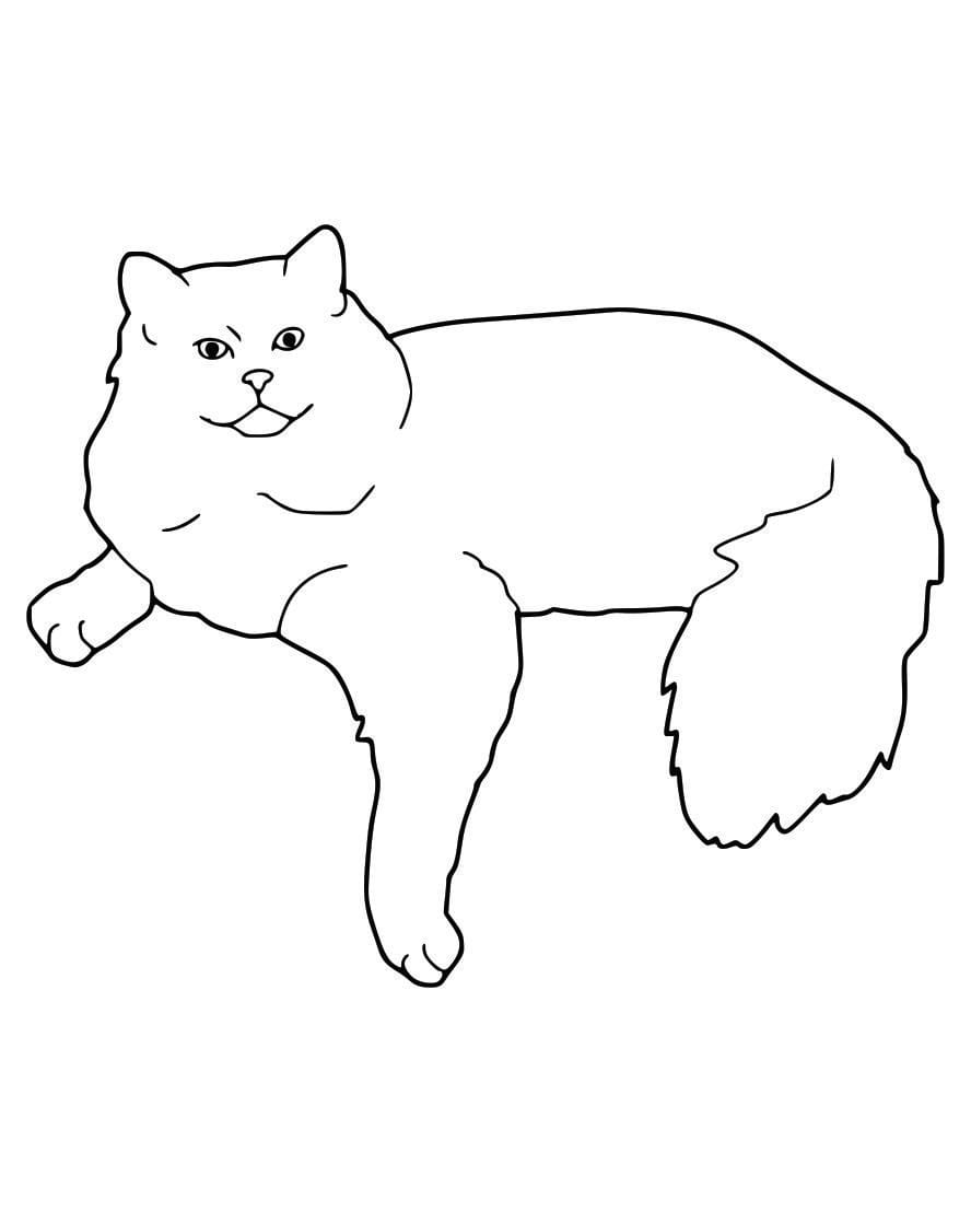 Simple coloring page of a cat lying down.