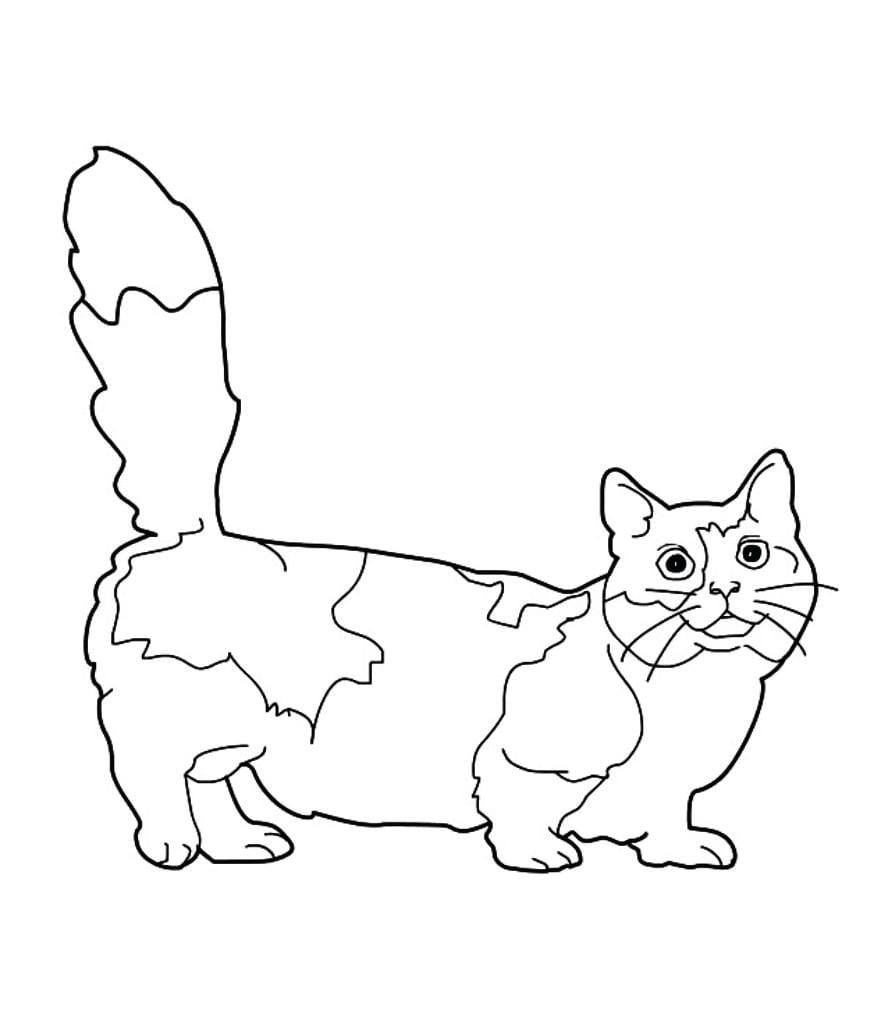 Coloring page of a cat with a curious look.