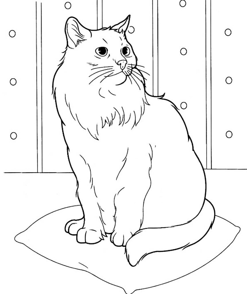 Coloring page of a realistic cat on top of a pillow.