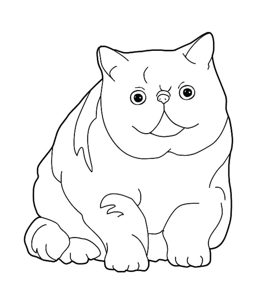 Coloring page of a fat cat.