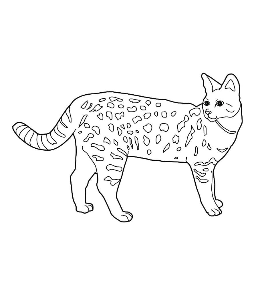 Coloring page of a painted cat.