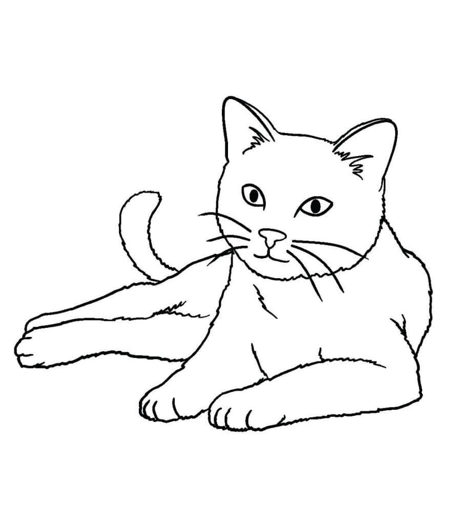 Simple coloring page of a cat lying down.