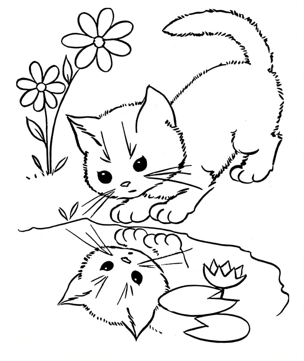 Coloring page of a cat looking at its reflection in a lake.