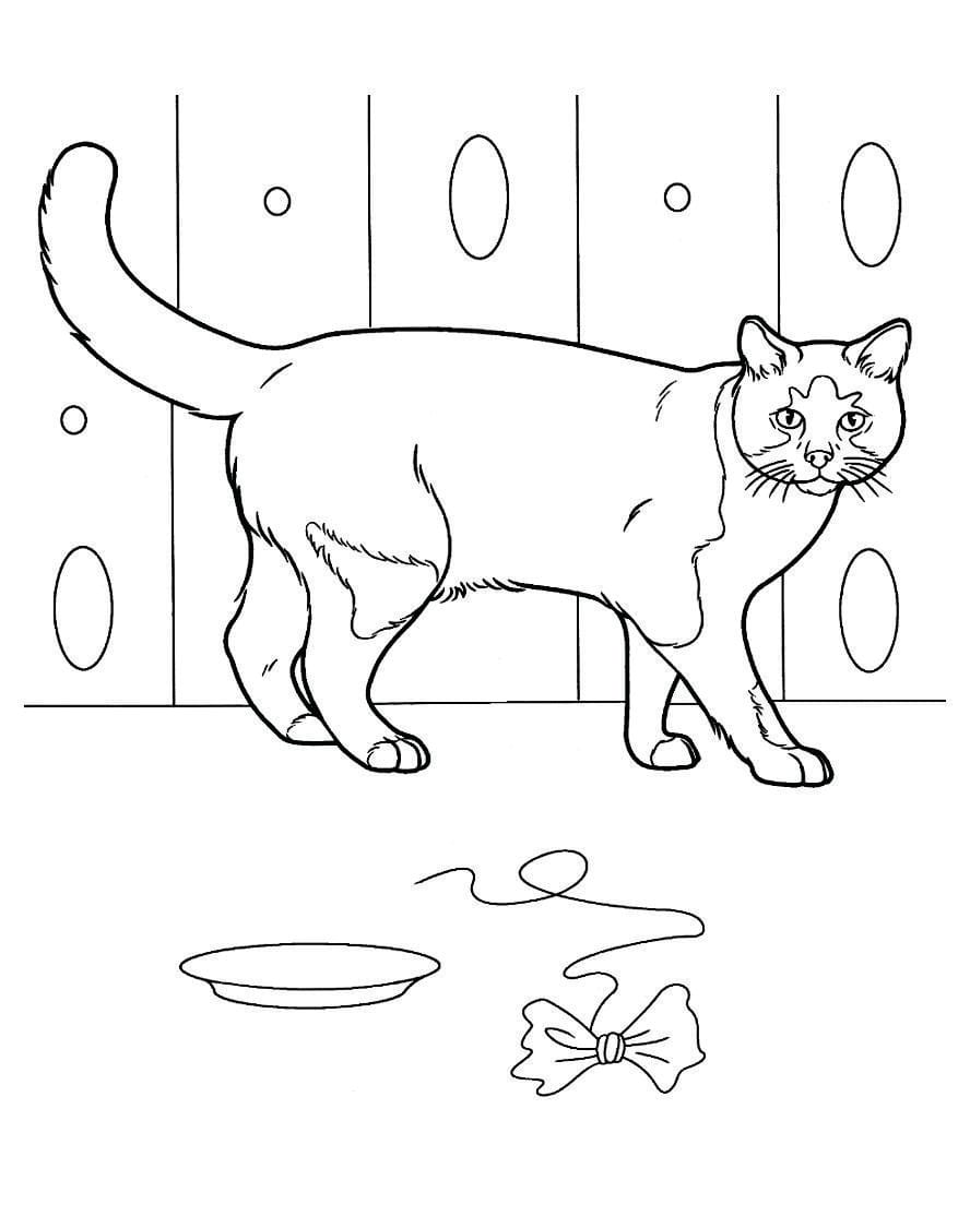 Coloring page of a cat waiting for its food.