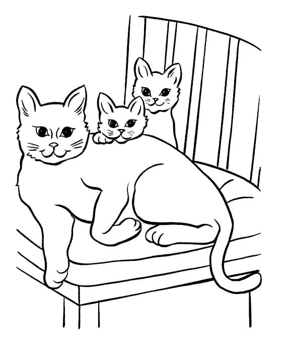 Coloring pages of various cats, perfect for painting.