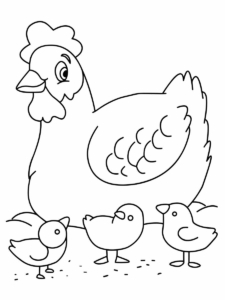 Chicken Coloring Pages