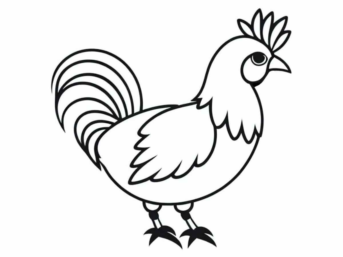 Chicken Coloring Page