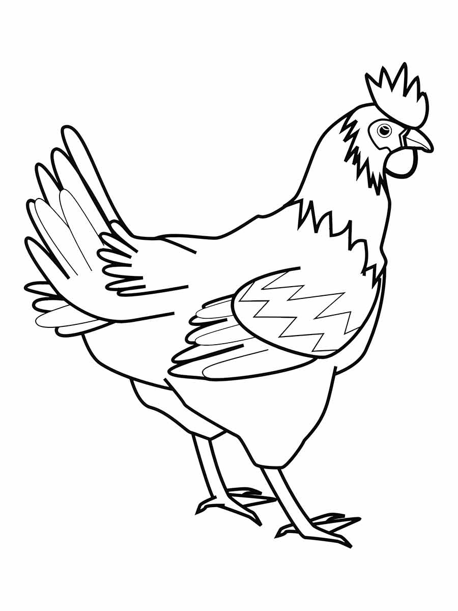 Chicken Coloring Page