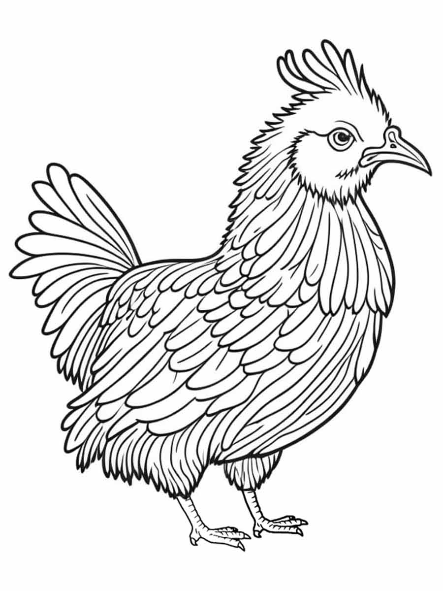 Chicken Coloring Page for Kids