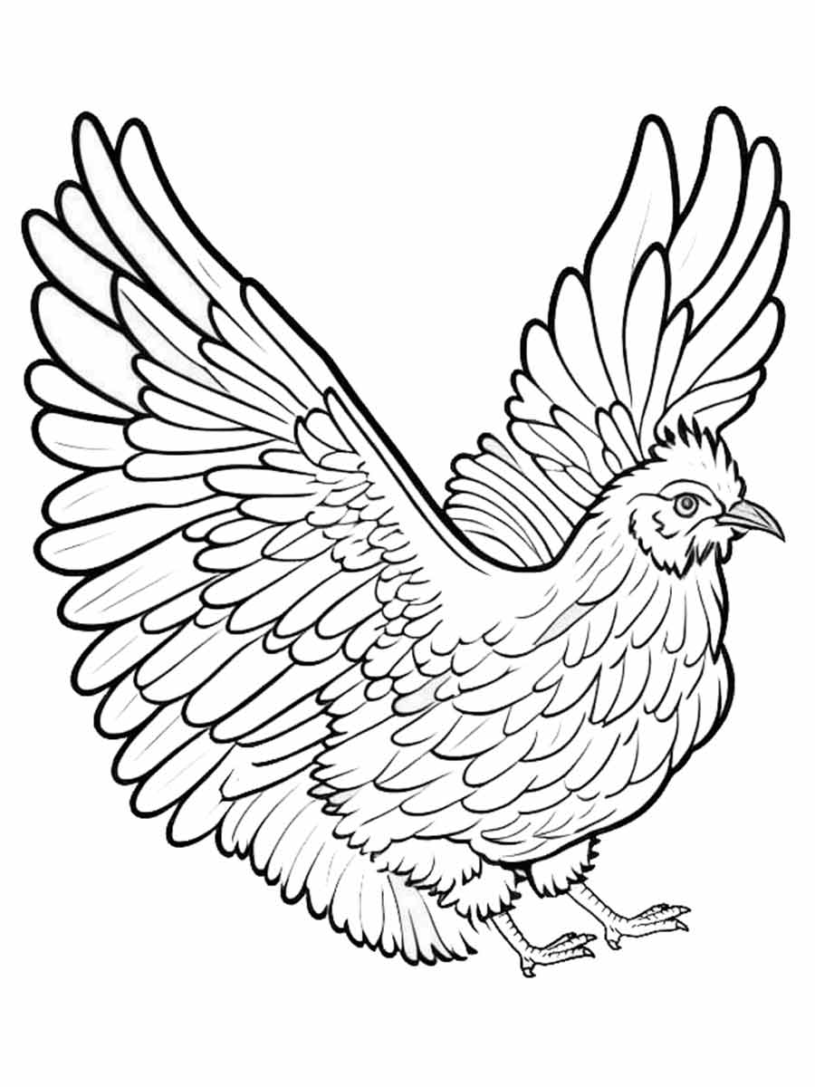 Chicken Coloring Page Printable