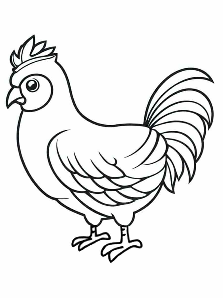 Chicken Coloring Page