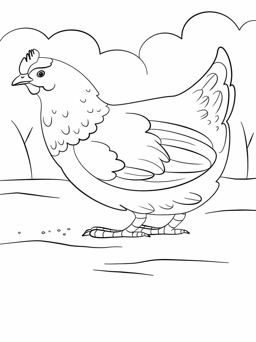 Chicken Walking Coloring Page