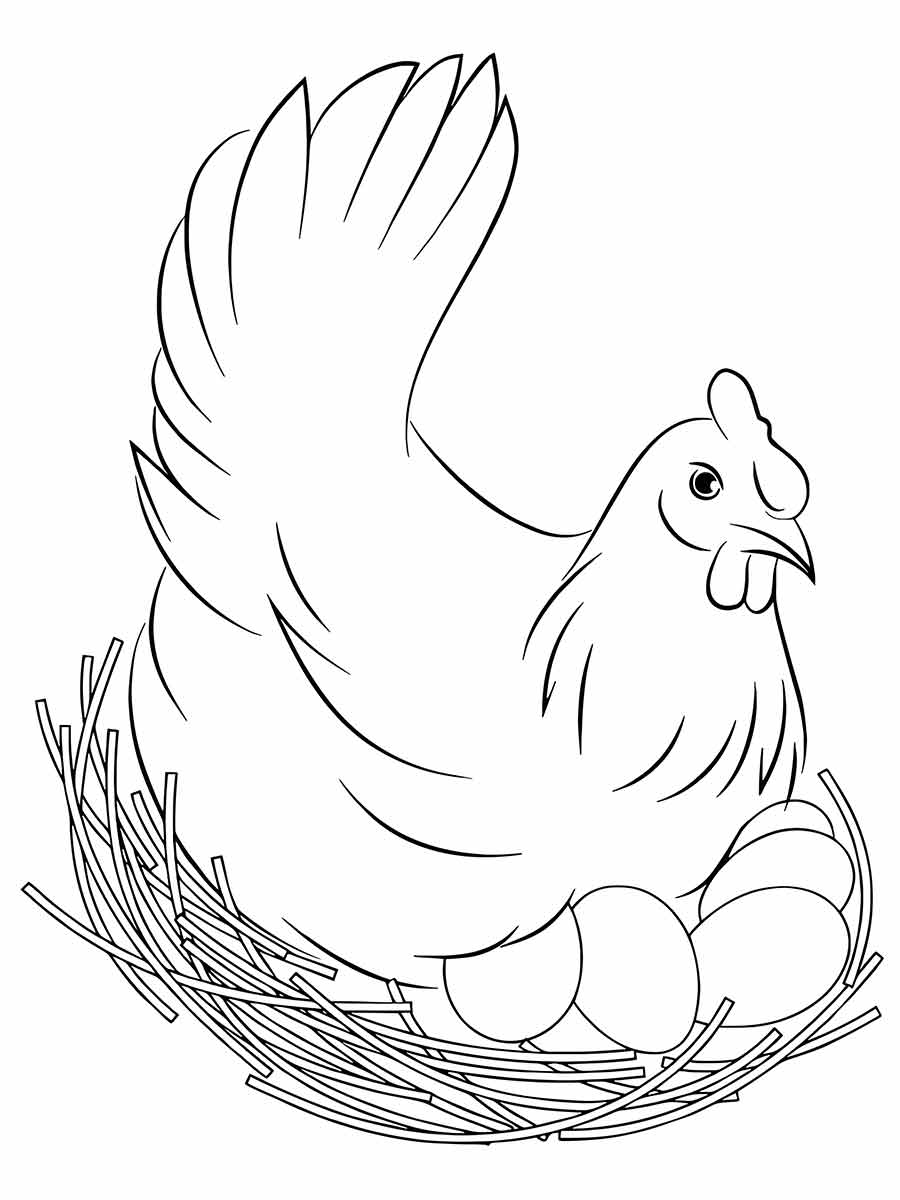 Chickens in Nest Coloring Page