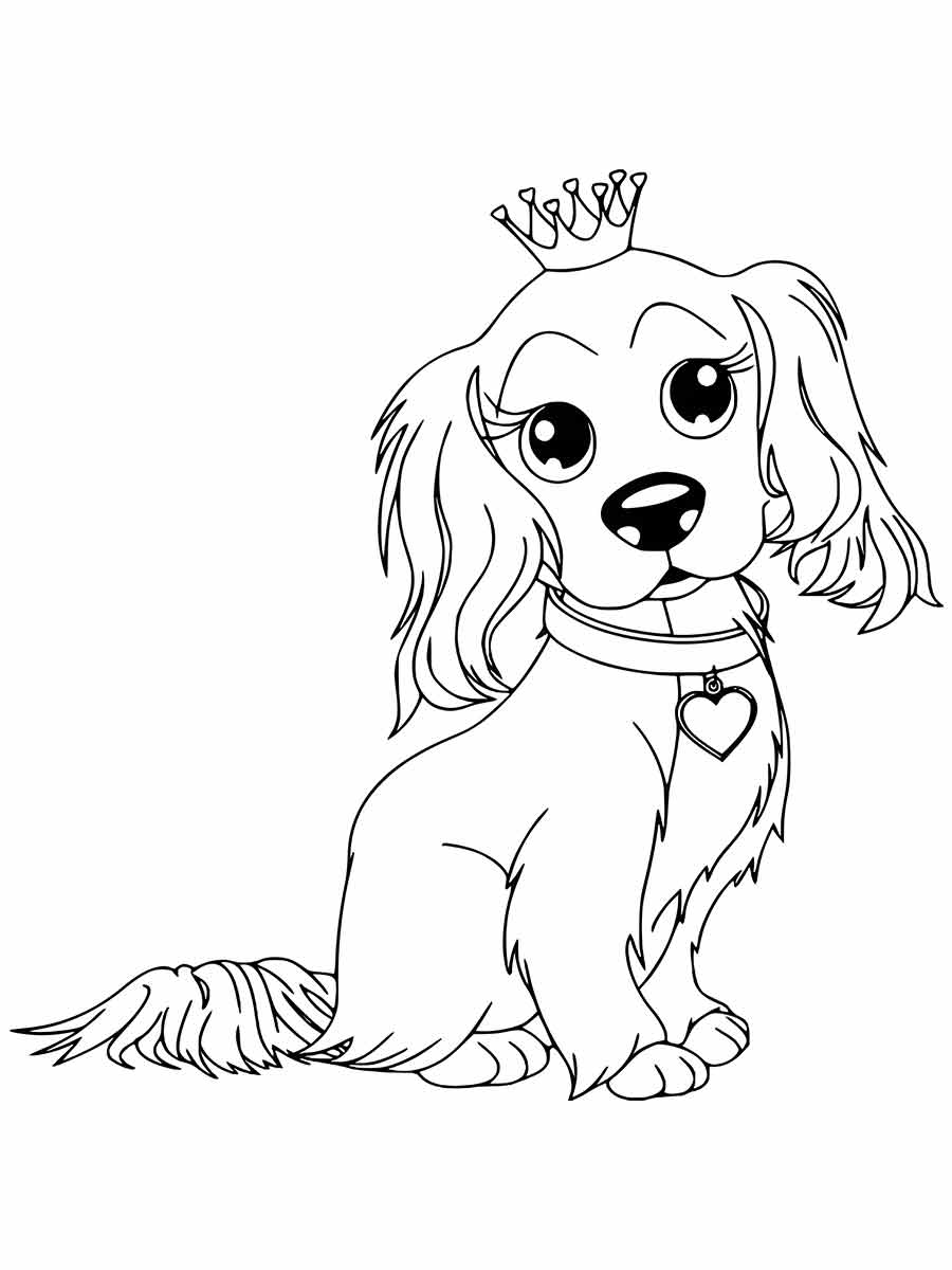 A Cavalier King Charles Spaniel wearing a crown and a heart-shaped pendant.