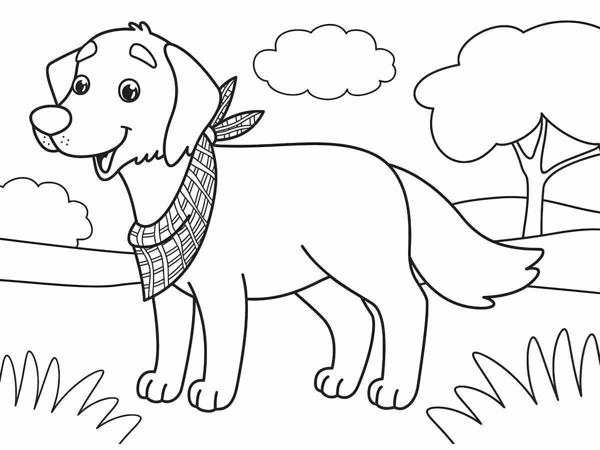 Coloring page of a Golden Retriever with a checkered bandana, in a grassy field.