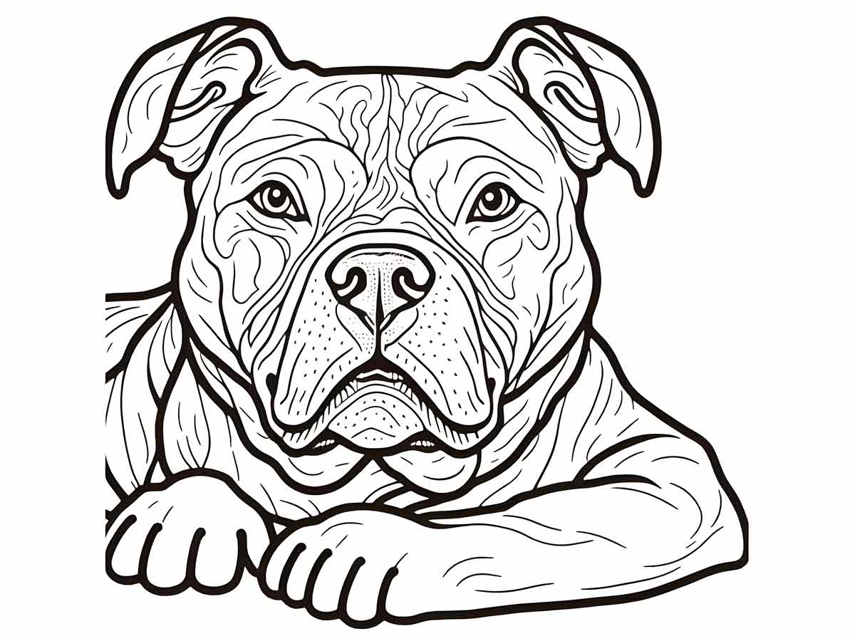 Pit Bull lying down coloring page