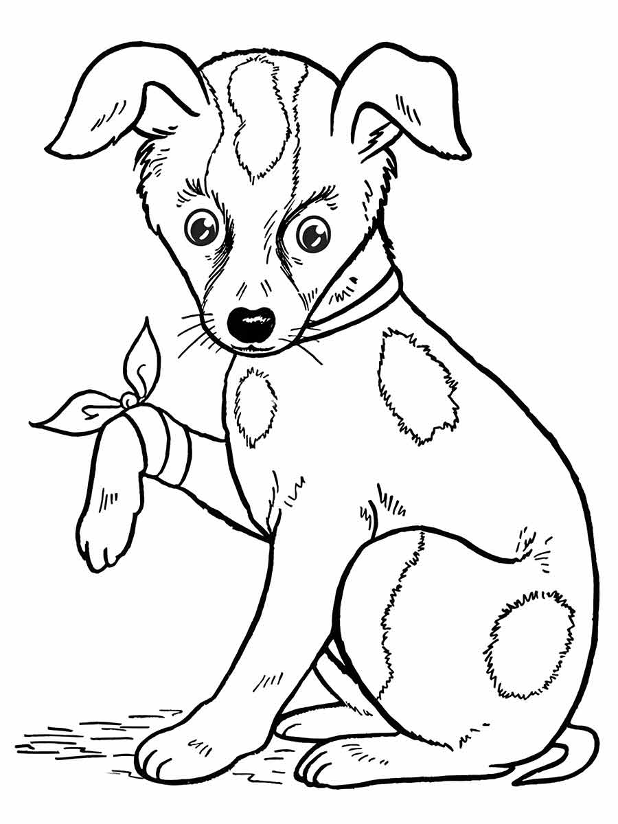 A sitting puppy with floppy ears, a small body, and spots.