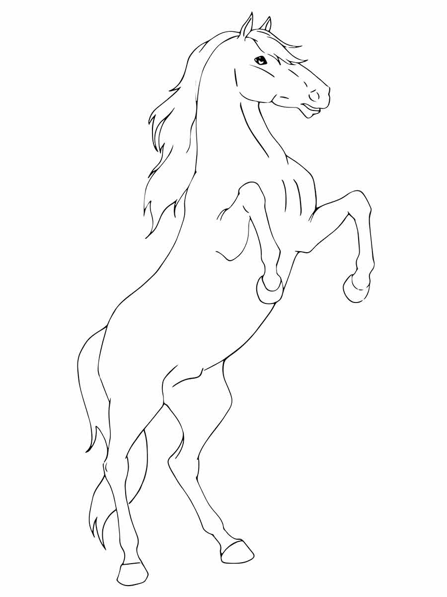 Copy Horse Coloring Page