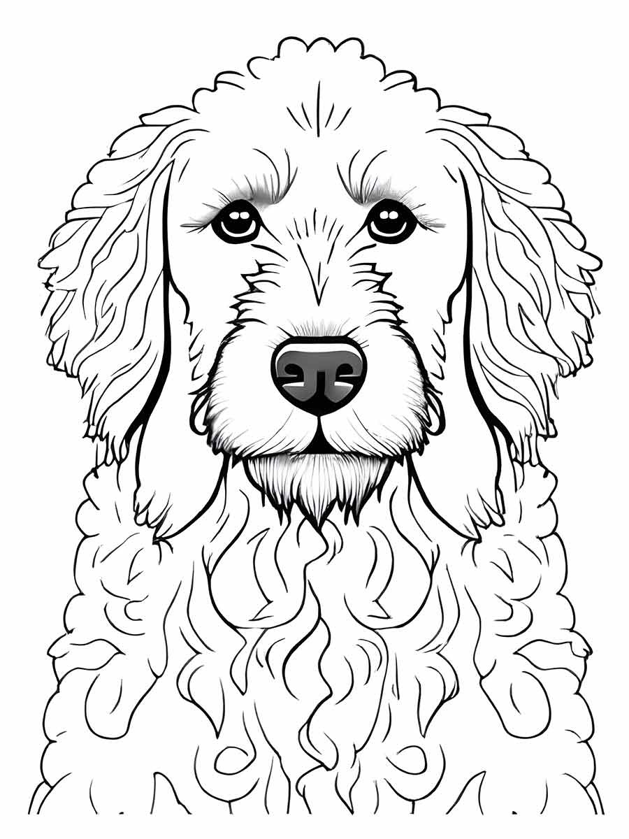 Dog coloring page