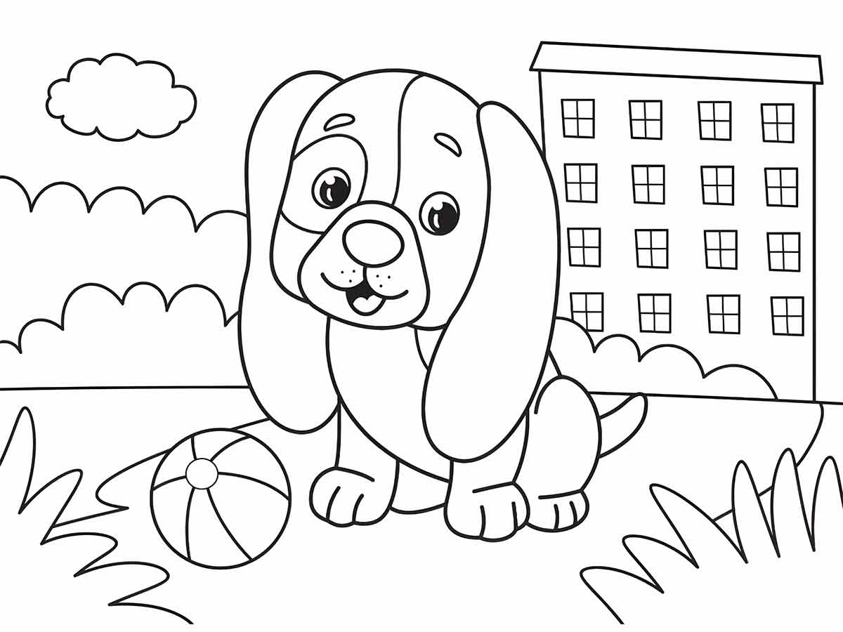 Coloring page of a dog with floppy ears and a big nose, sitting on a piece of grass with a ball beside it.