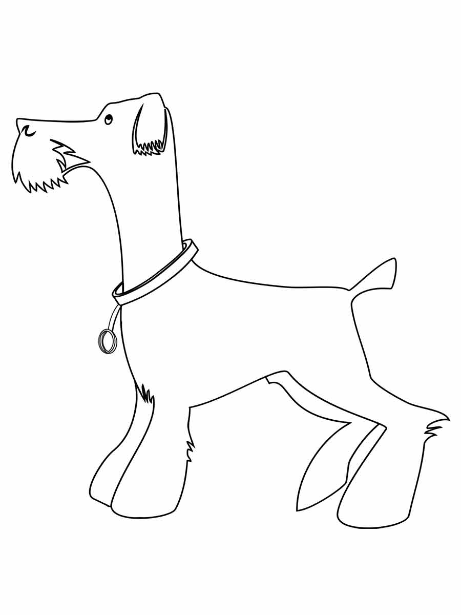 Coloring page of a dog with a long body, standing and looking to the left. The dog is wearing a collar with a tag.