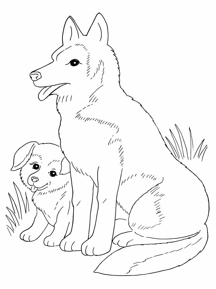 Dog with puppy coloring page