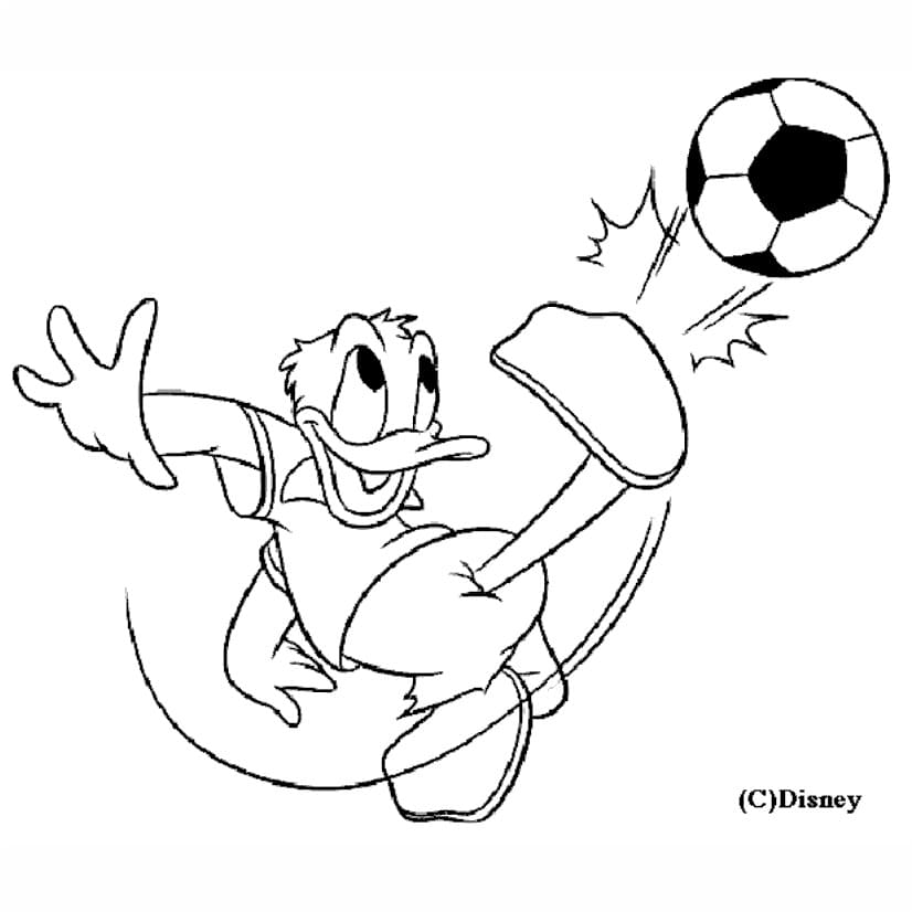 Donald Duck Coloring Pages