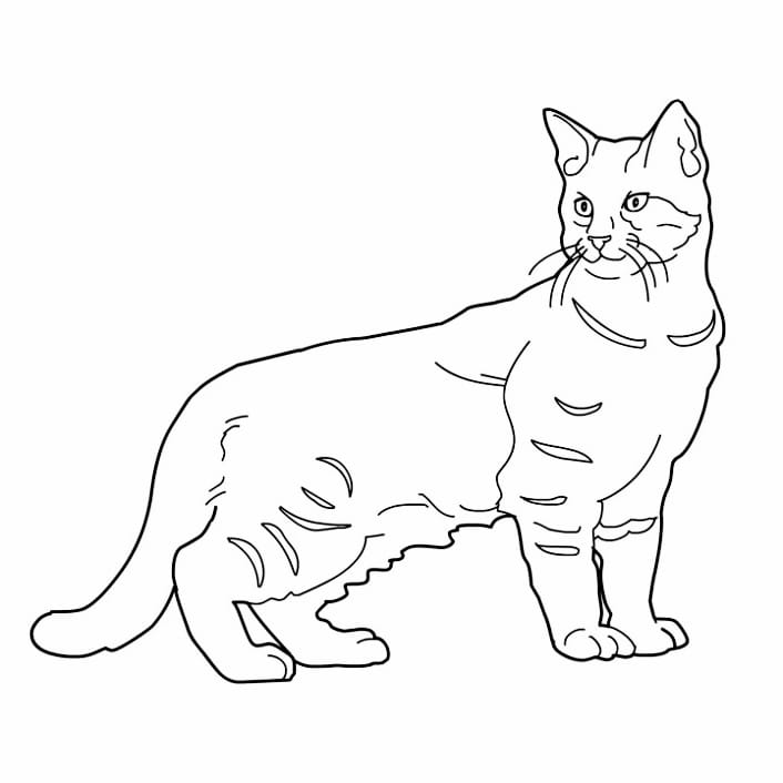 Simple coloring page of a cat ready to play.