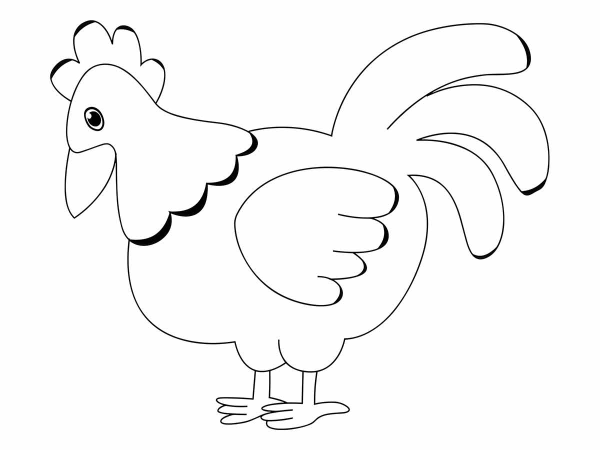 Easy Chicken Coloring Page