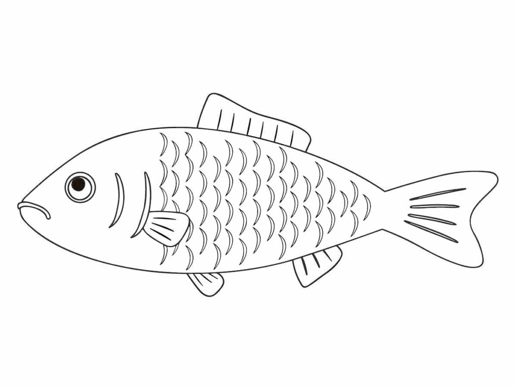 Educational fish drawing to color