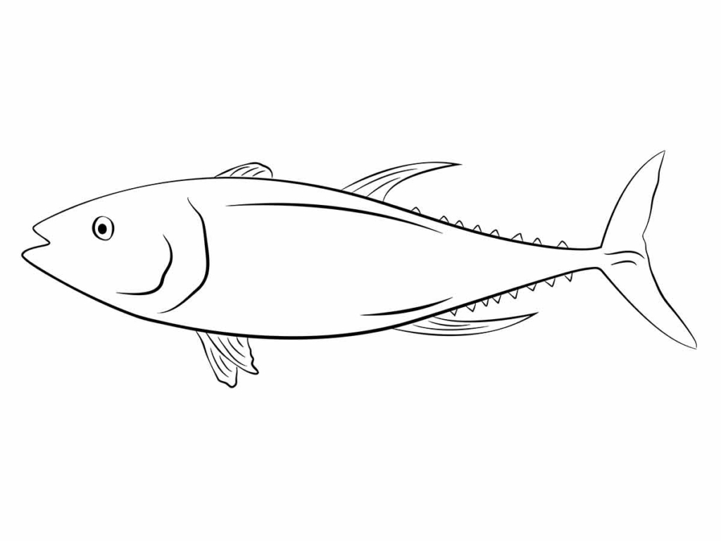 Educational fish drawing to paint