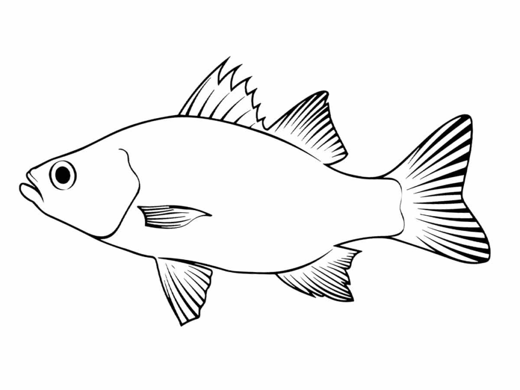 Fish coloring pages