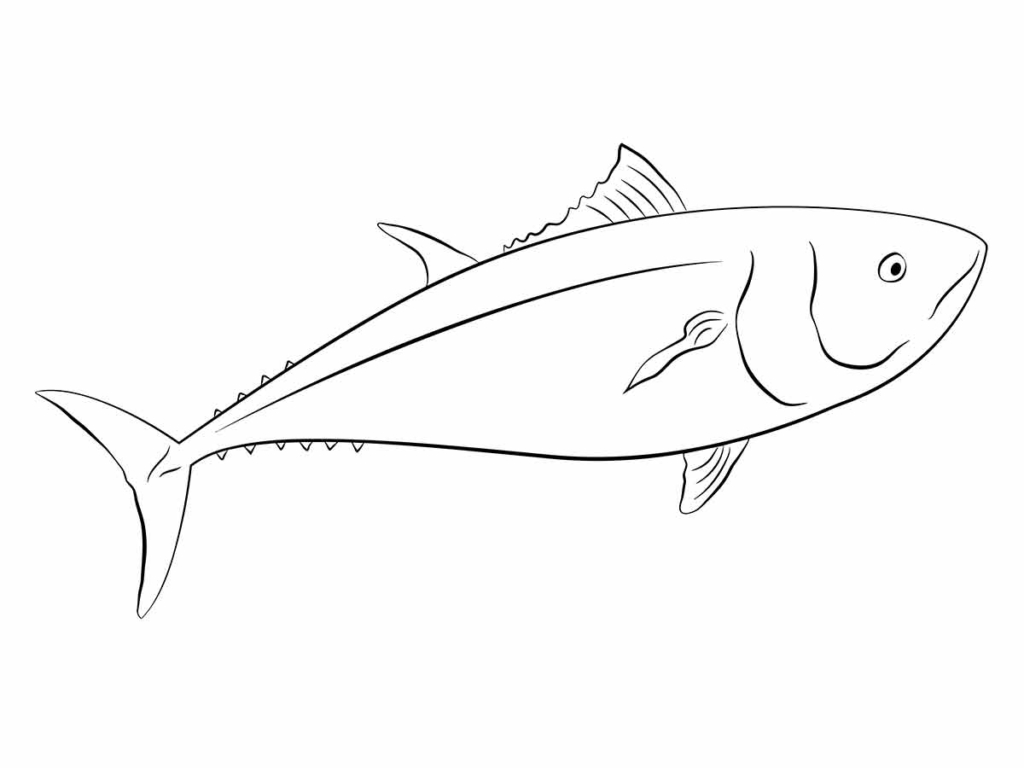 Fish coloring pages