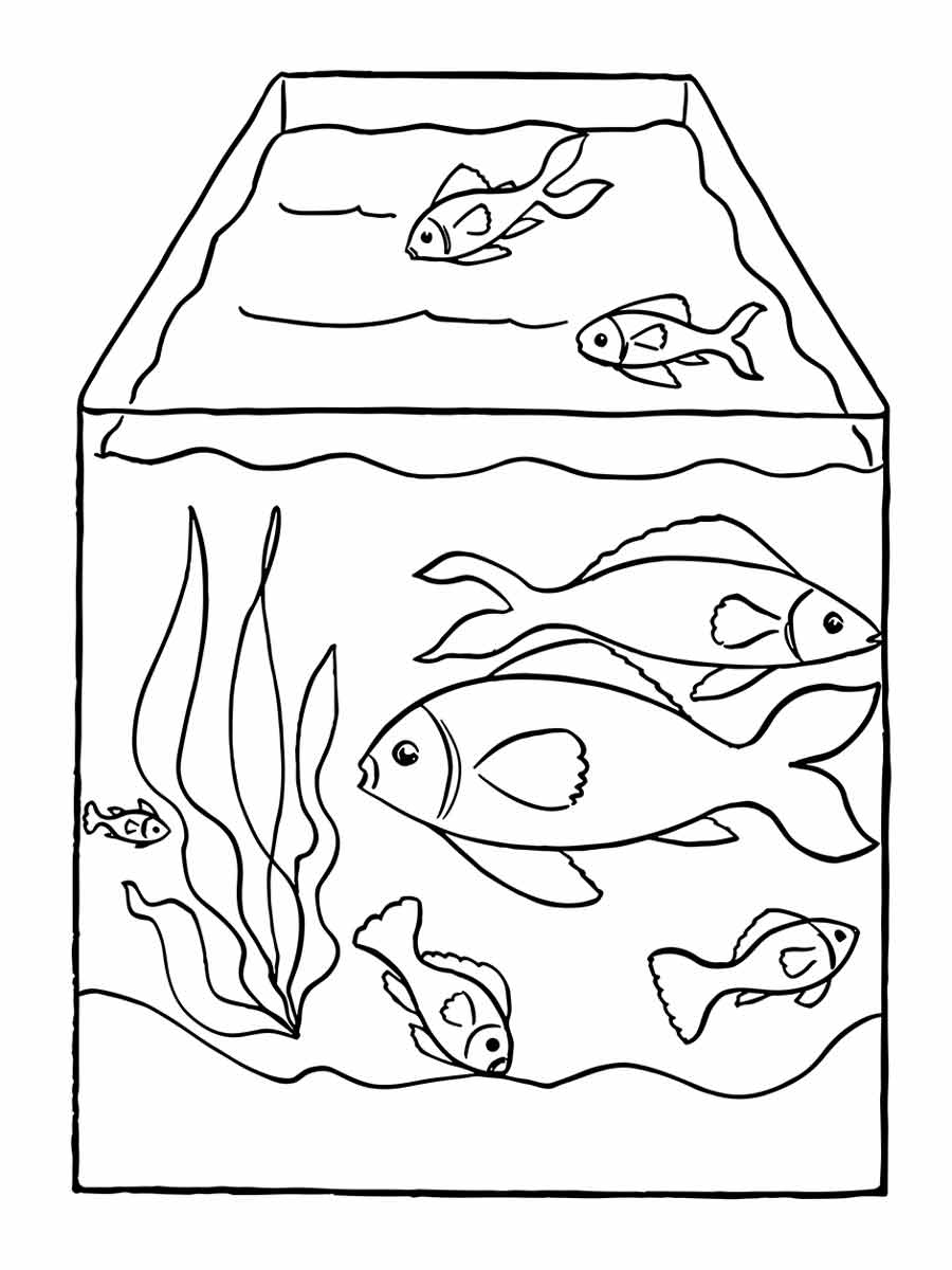 Fish in aquarium to color