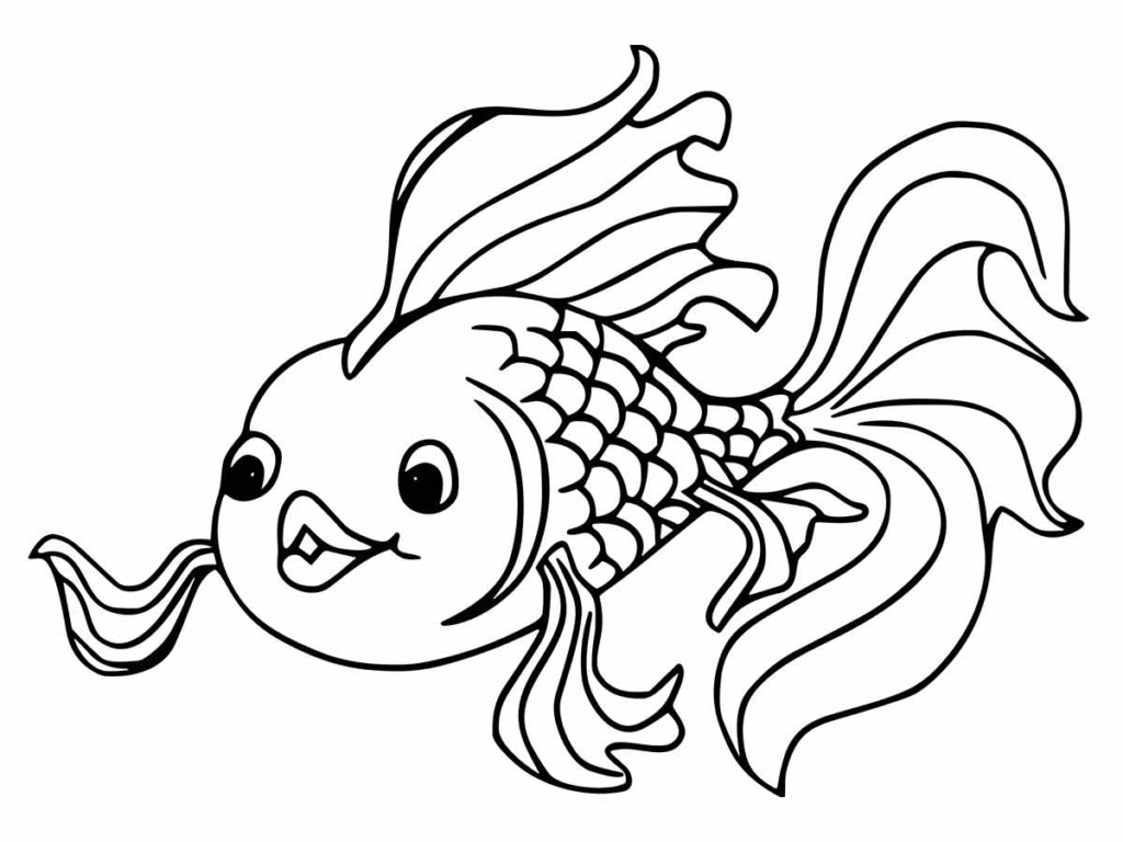 Fish to color