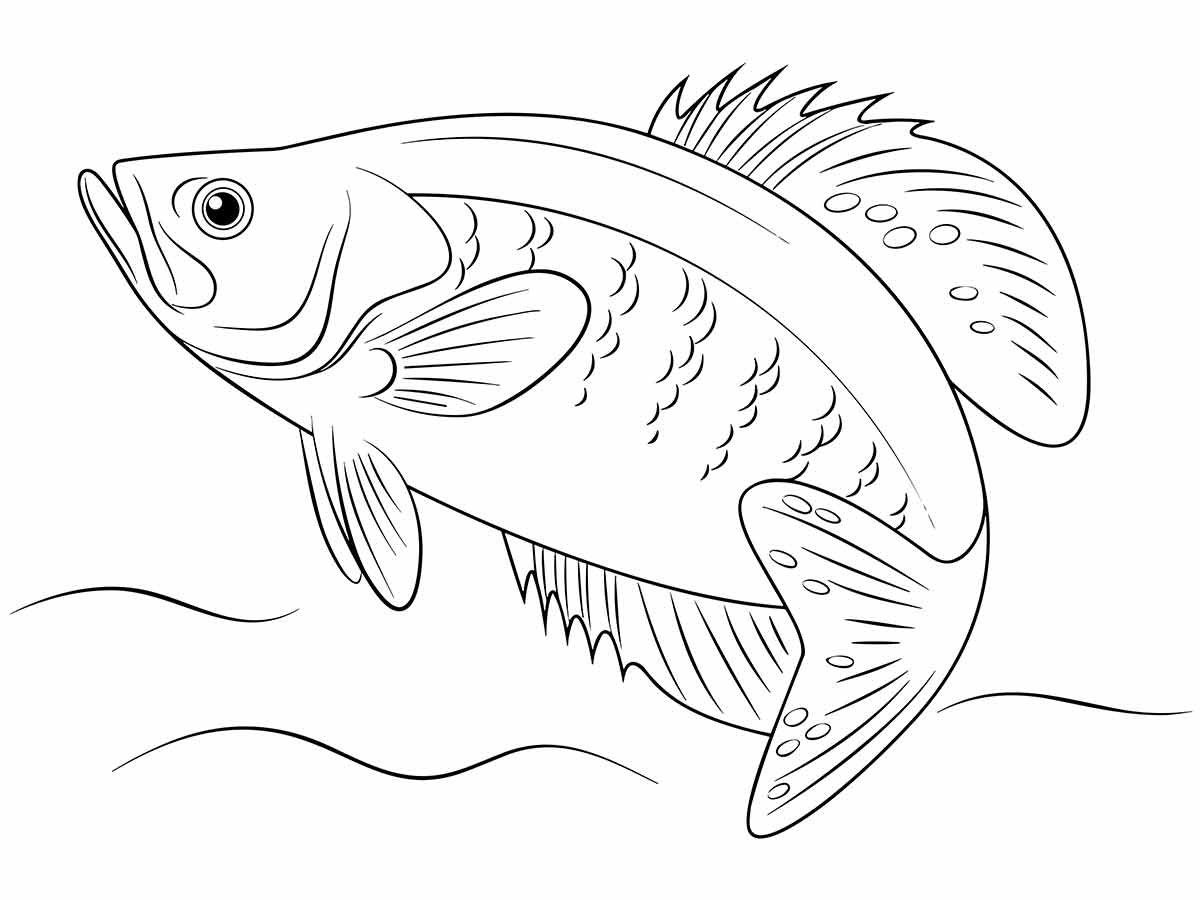 Fish to print and color