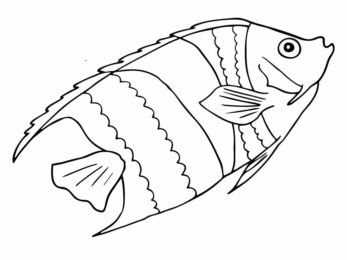 Fish to print and color