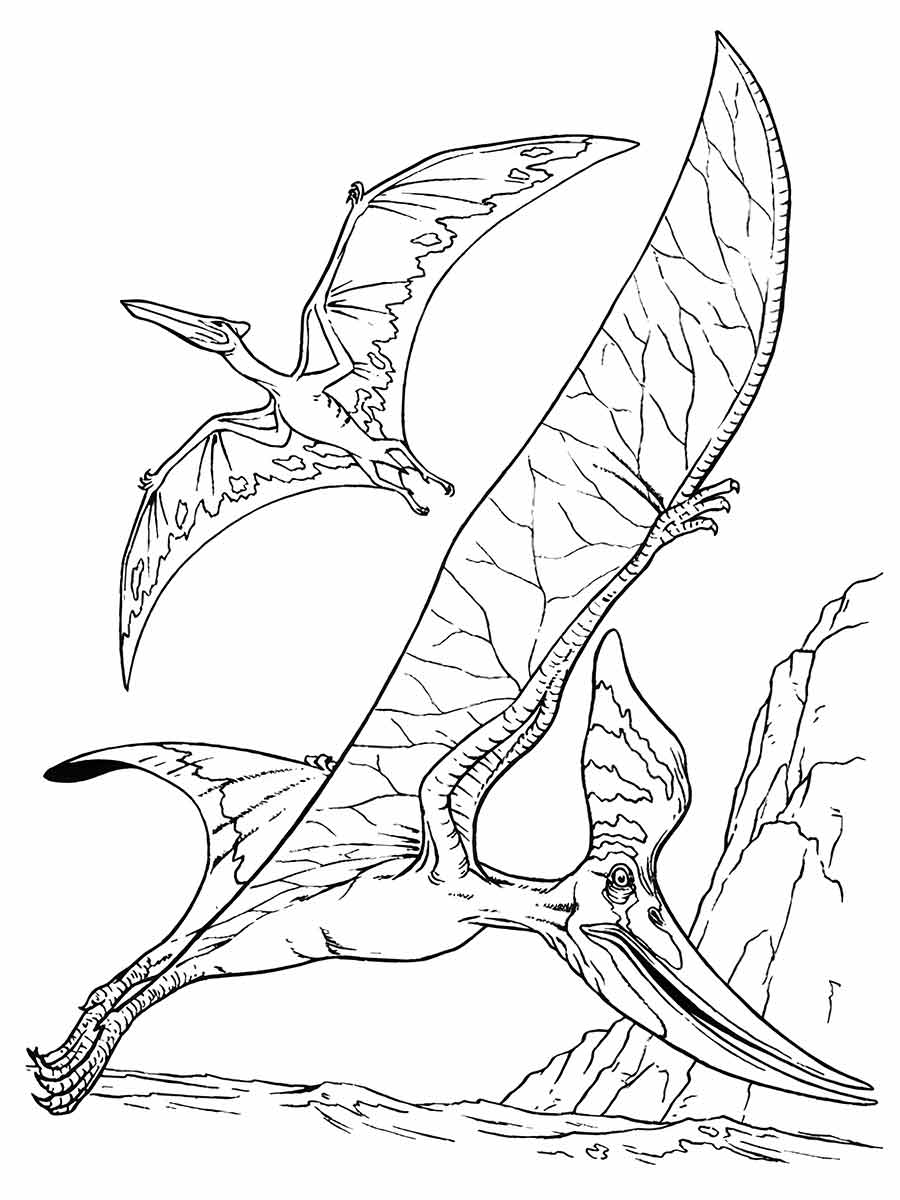 Coloring page of two pterosaurs flying over a rocky landscape, from the Jurassic and Cretaceous periods.