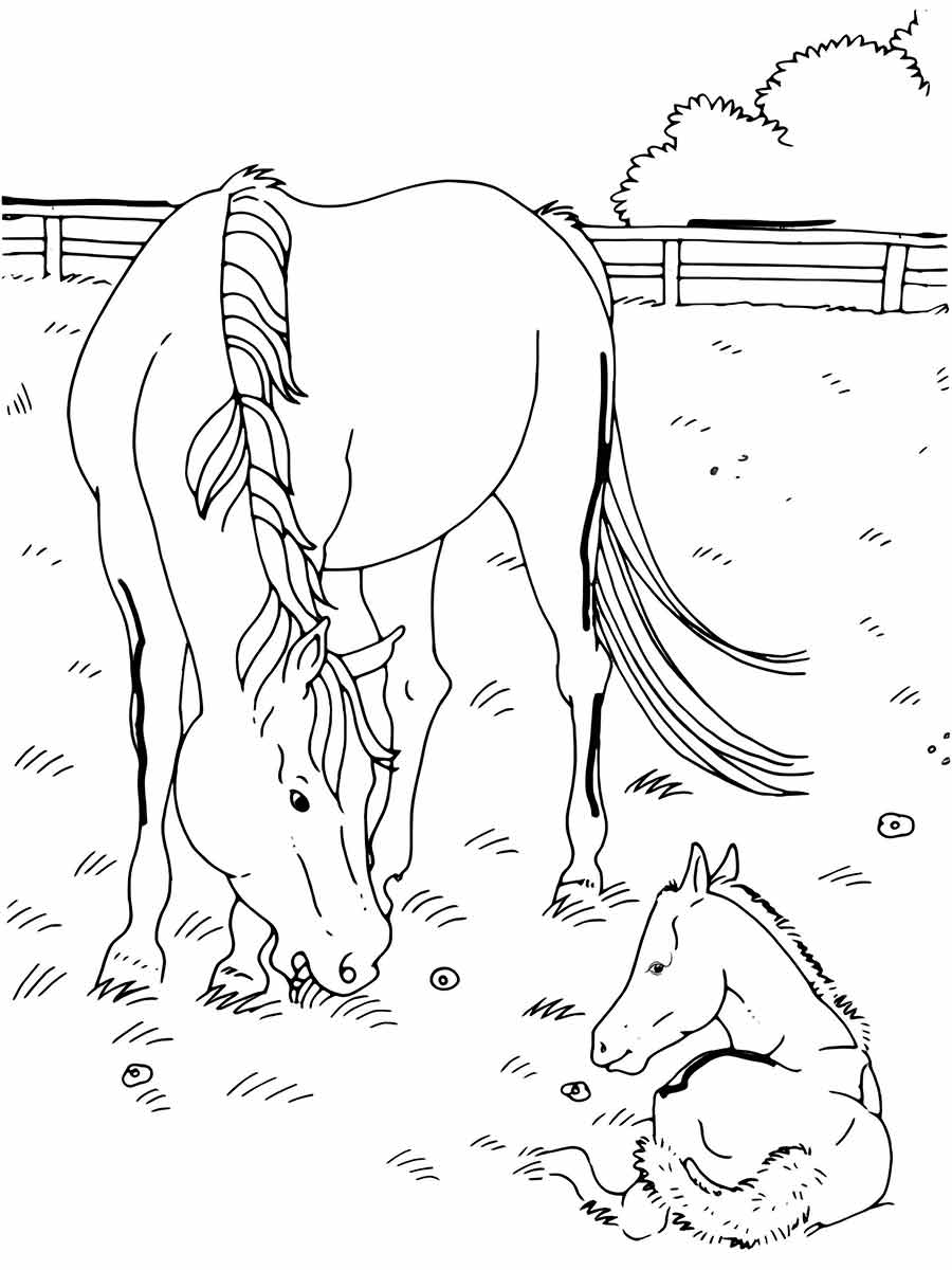 Horse and Foal Coloring Page 3