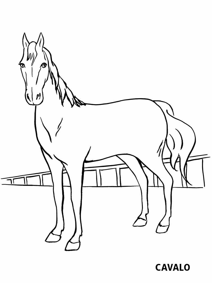 Horse Coloring Page to Paint