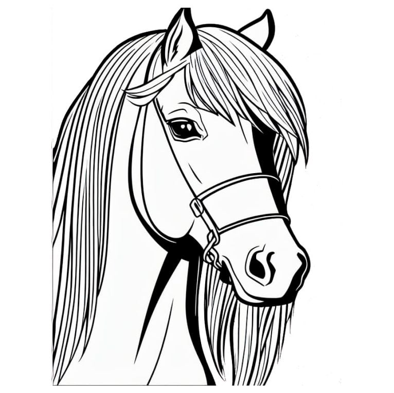 Horse Head Coloring Page 3