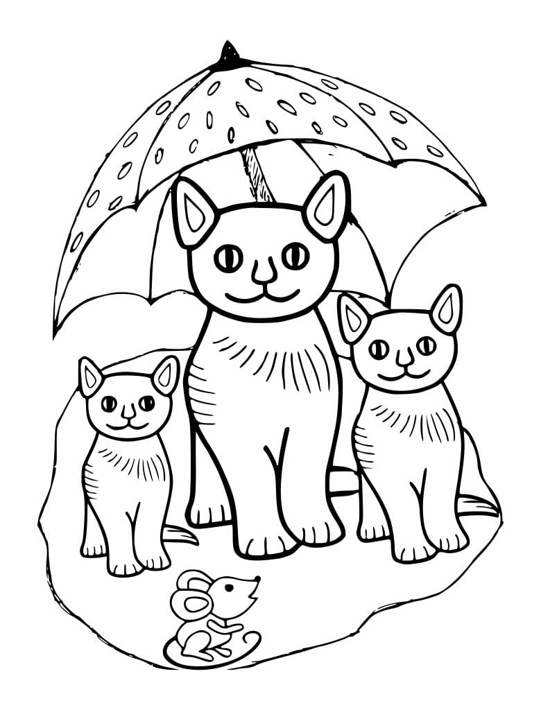 Coloring pages of various cats, perfect for painting.