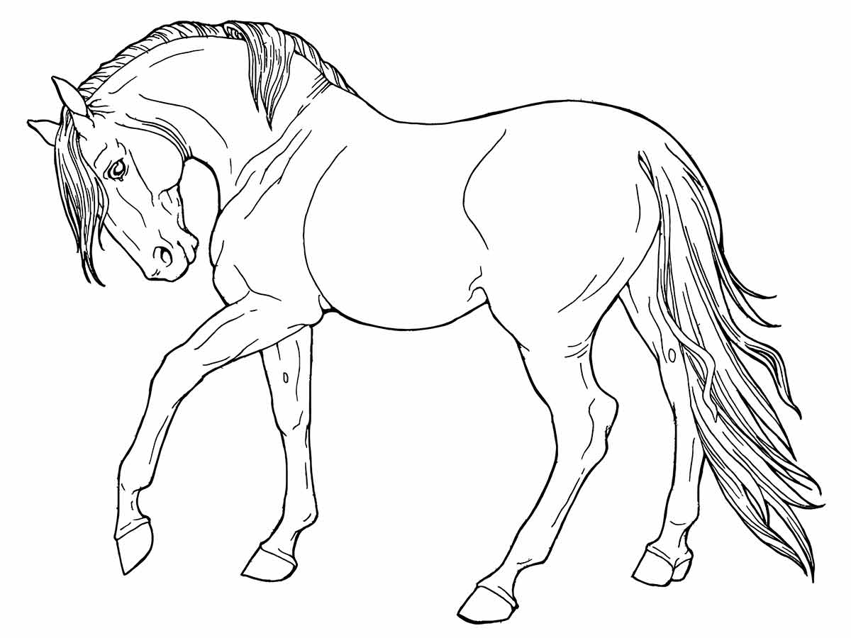 Large Horse Coloring Page 2