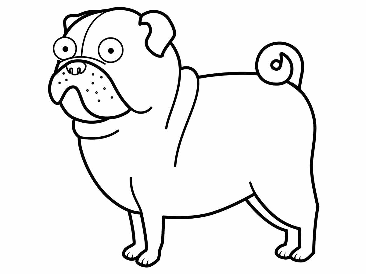 Pug coloring page