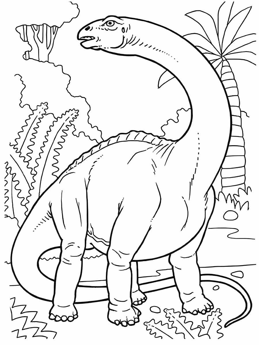 Coloring page of a sauropod dinosaur with a long neck and tail in a jungle setting with ferns and palm trees.